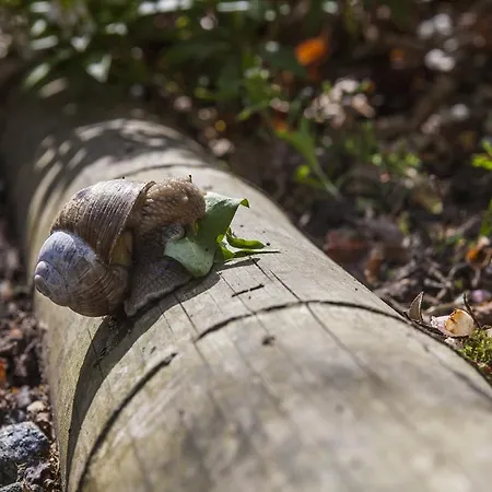 Panzió Bed & Breakfast Horsens 3*