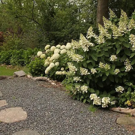 Bed & Breakfast Bed & Breakfast Horsens 3*