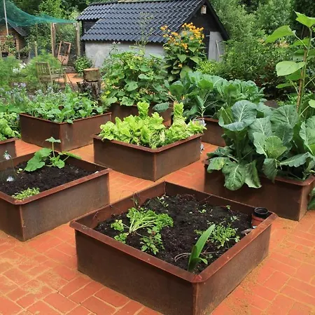 Bed & Breakfast Horsens 3* Horsens