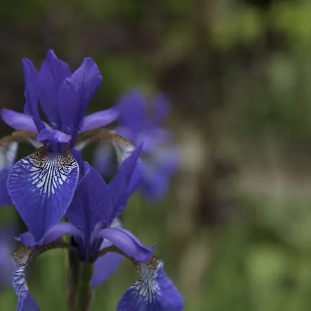 Bed & Breakfast Horsens 3*