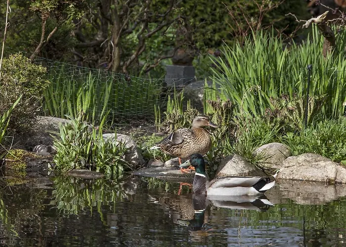 Bed & Breakfast Horsens 3*