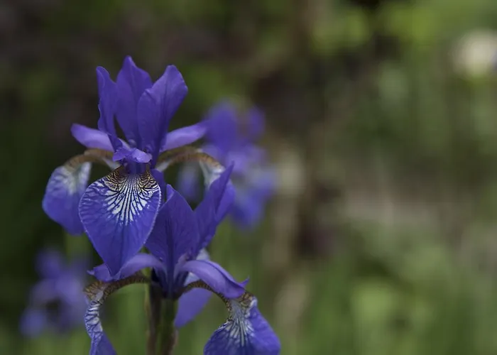 Bed & Breakfast Horsens 3*